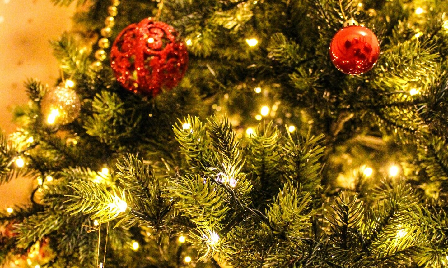 🎄 Vianočná prestávka vo FF MENU 🎄