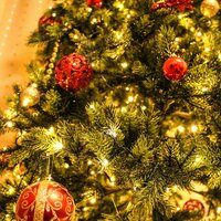 🎄 Vianočná prestávka vo FF MENU 🎄